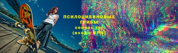 амф Касимов