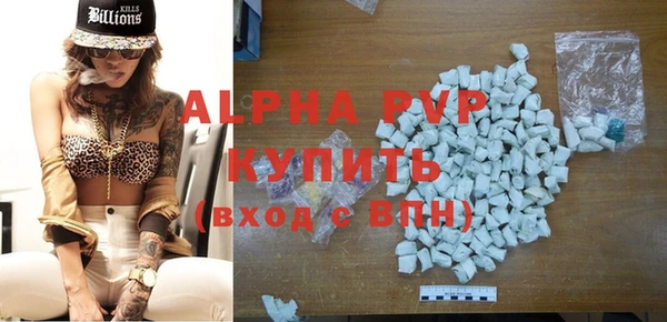 амф Касимов