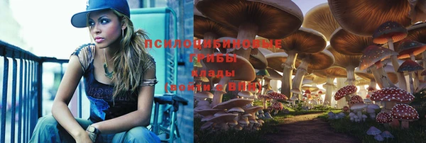 не бодяженный Киренск