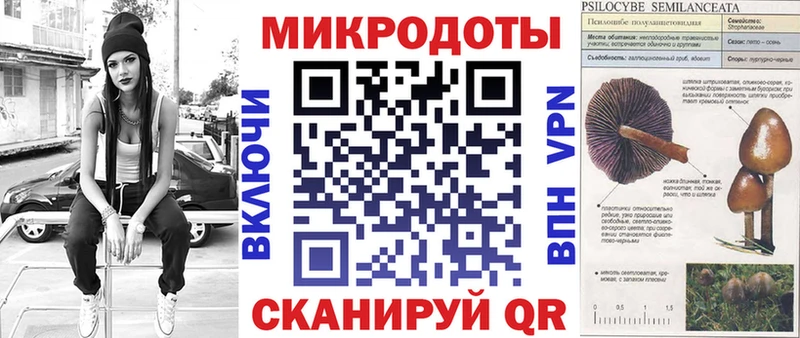 Купить закладки  Емва  Галлюциногенные грибы Psilocybine cubensis 